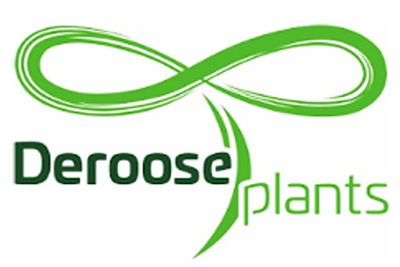 Deroose Plants
